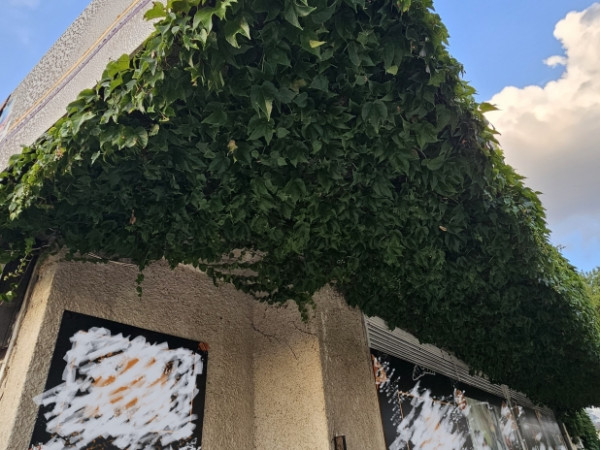 Budapest XI. kerület ingatlanok