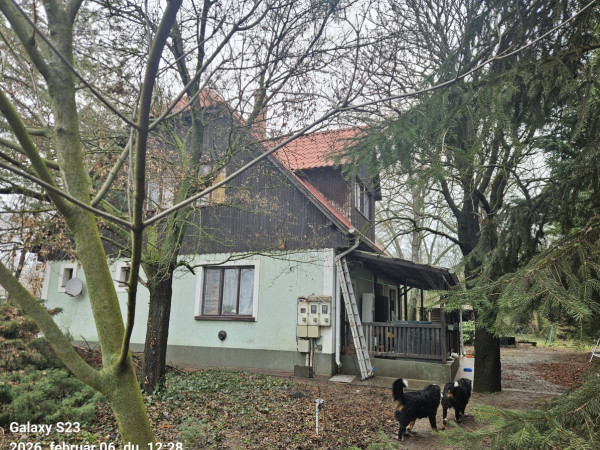 Szigetcsép ingatlanok