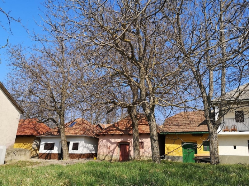 Piliscsév zu Verkaufen Grundstück Búzavirág utca