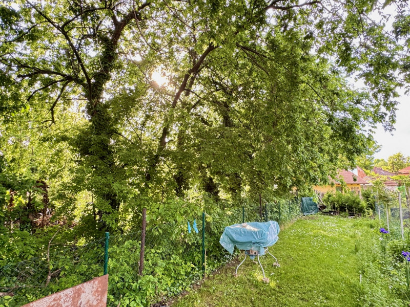 Budapest XIX. kerület Eladó Lakás Thököly utca