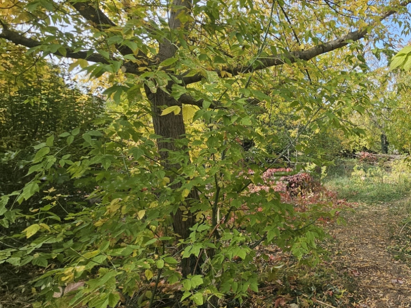 Budapest XXII. kerület Eladó Telek