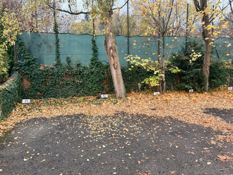 Budapest XII. kerület Kiadó Lakás György Aladár utca