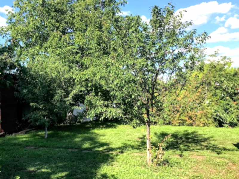 Budapest XXII. kerület Eladó Ház