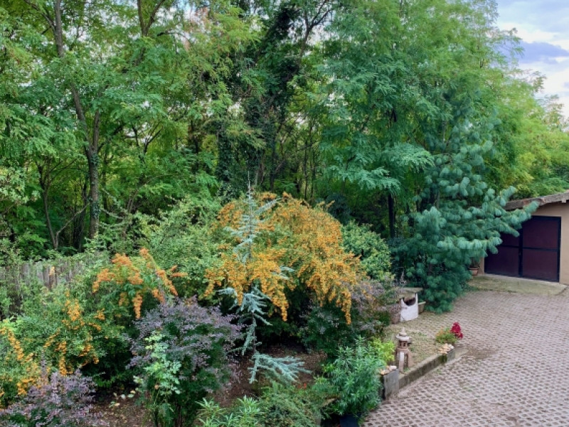 Budapest XXII. kerület Eladó Ház