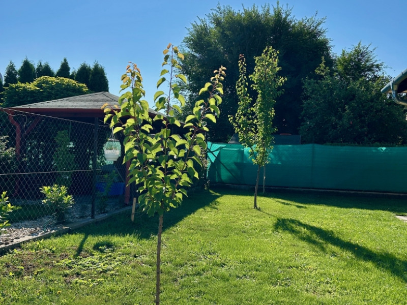 Halásztelek Eladó Ház