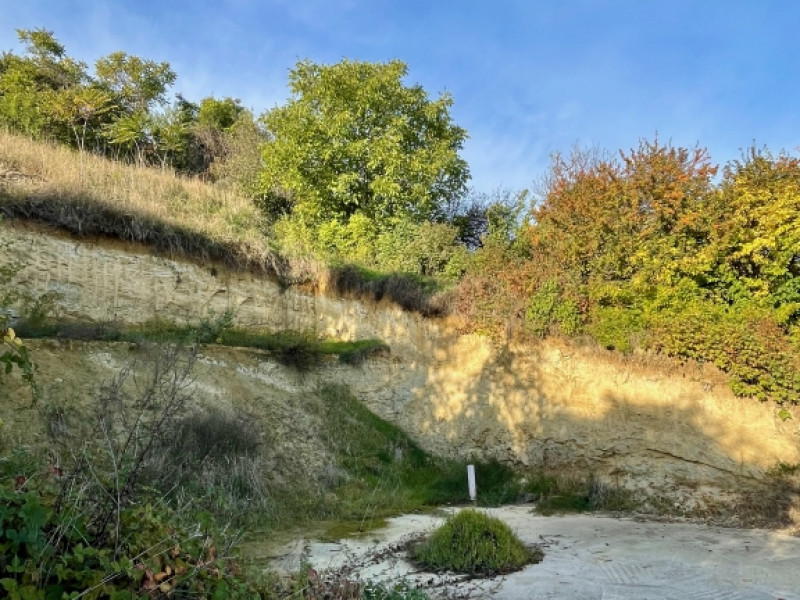 Budapest XXII. kerület Eladó Telek