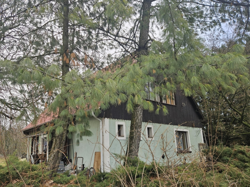 Szigetcsép Eladó Ipari