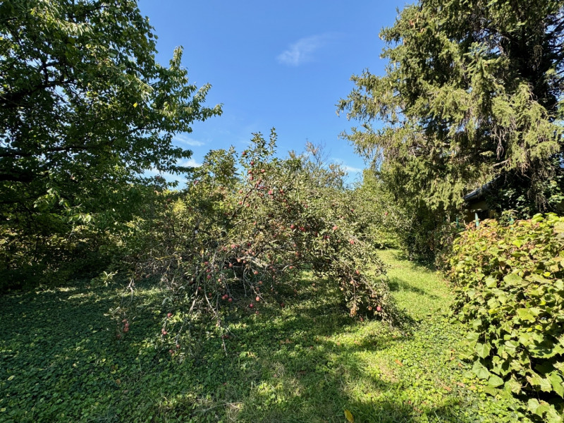 Diósd Eladó Telek Tó utca