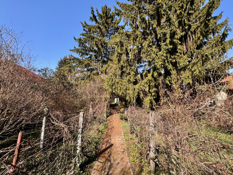 Diósd Eladó Telek Tó utca