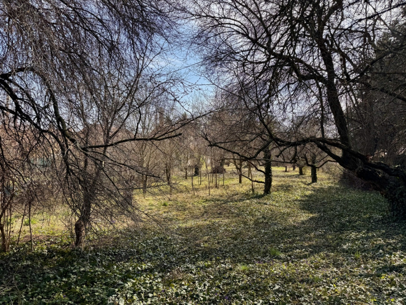 Diósd Eladó Telek Tó utca