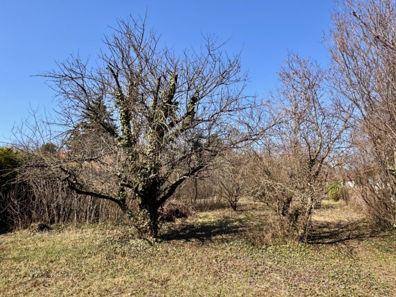Diósd Eladó Telek Tó utca