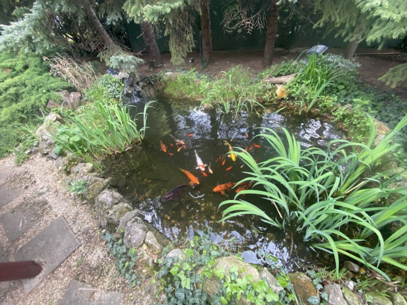 Budapest XXII. kerület Eladó Ház