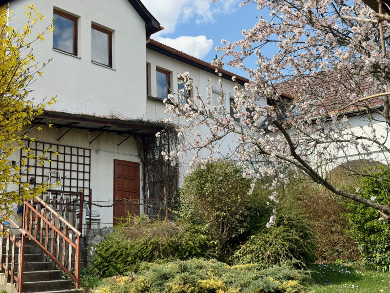 Budapest III. kerület Eladó Ház Pálvölgyi út