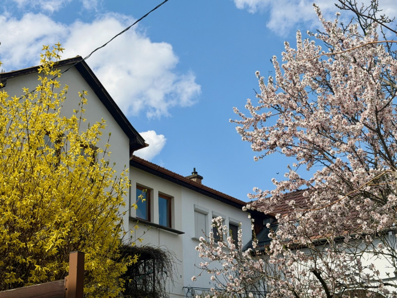 Budapest III. kerület Eladó Ház Pálvölgyi út