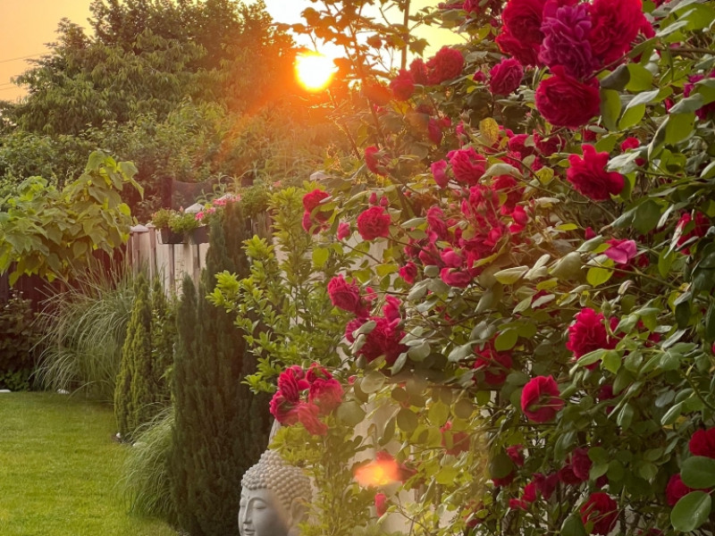 Budapest XXII. kerület Eladó Ház Lídia utca