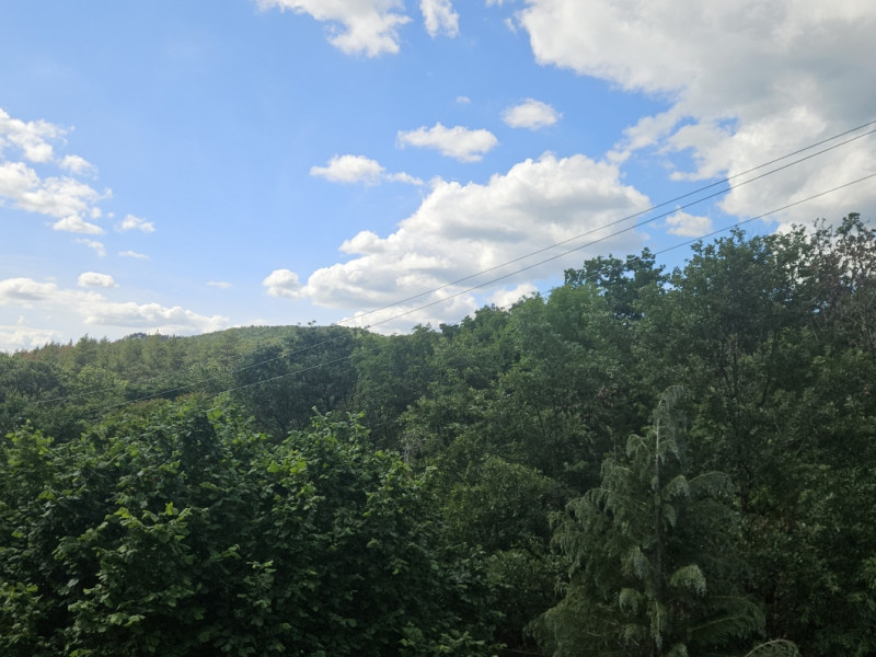 Budakeszi Kiadó Lakás