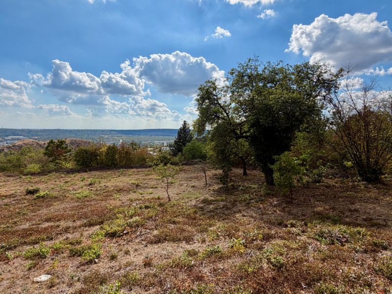 Budaörs Eladó Telek Őzike utca