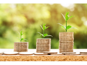 Schatzung der Immobilien Schatzung der Immobilien