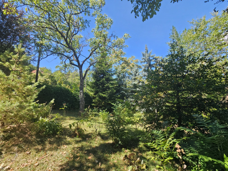 Budapest XII. kerület Eladó Lakás Budapest XII. kerület Eladó Lakás