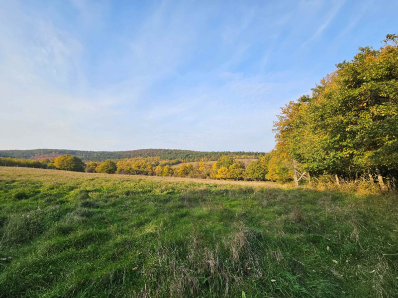 Budakeszi Eladó Lakás Budakeszi Eladó Lakás