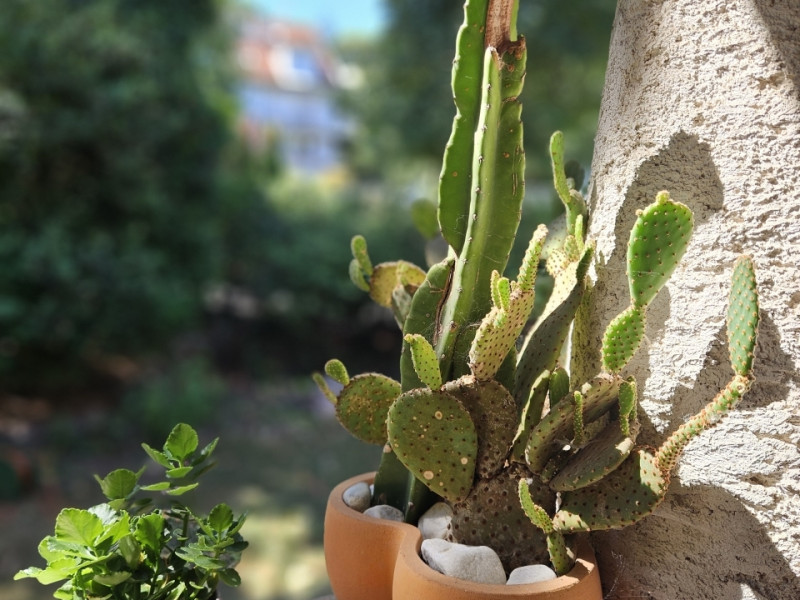 Budapest XII. kerület Eladó Lakás Budapest XII. kerület Eladó Lakás