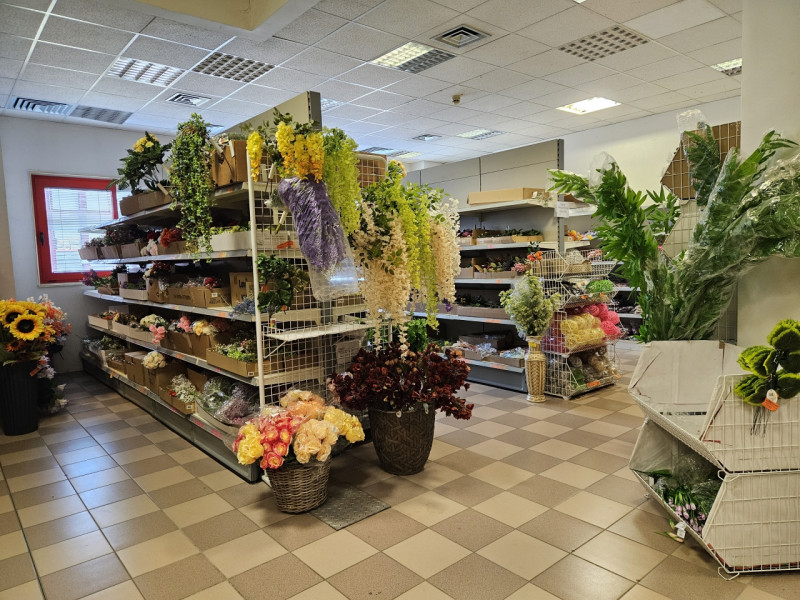 Szigetszentmiklós Eladó Ipari Szigetszentmiklós Eladó Ipari