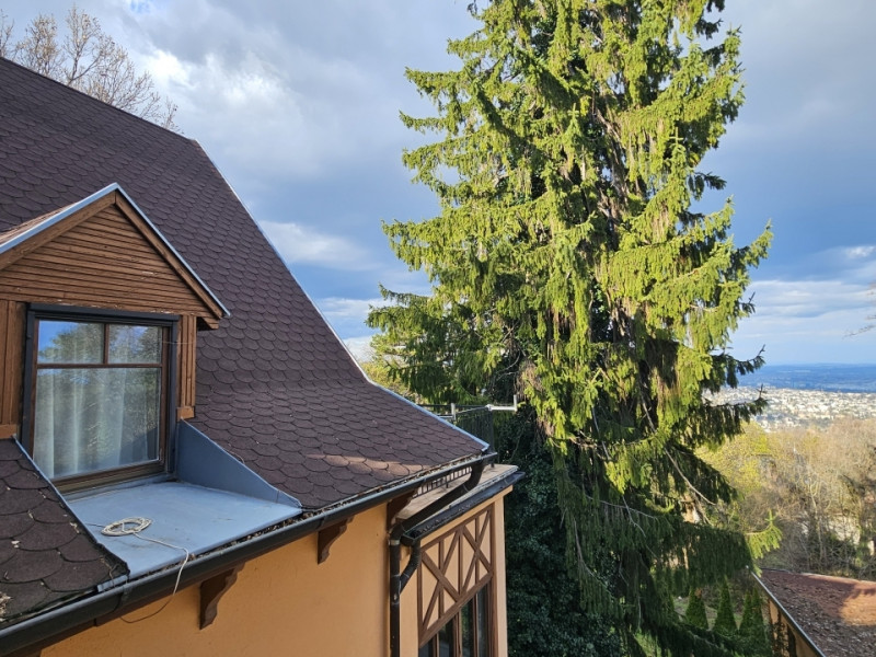 Budapest XII. kerület Kiadó Ház Budapest XII. kerület Kiadó Ház