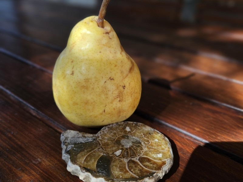 Tállya Eladó Ház Tállya Eladó Ház