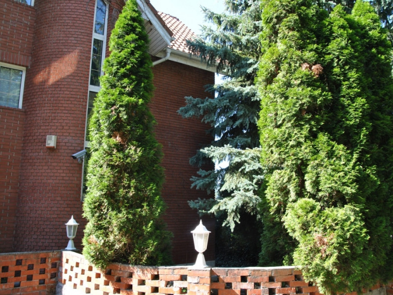 Budapest II. kerület Eladó Ház Budapest II. kerület Eladó Ház